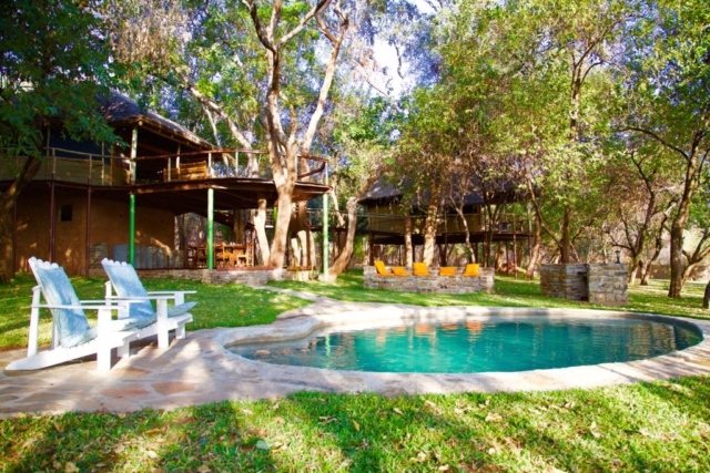 Lotri Bay, Lake Kariba, Zambia - Treetops