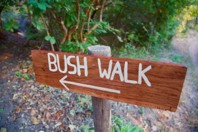 Lotri Bay, Lake Kariba, Zambia - Bush Walk