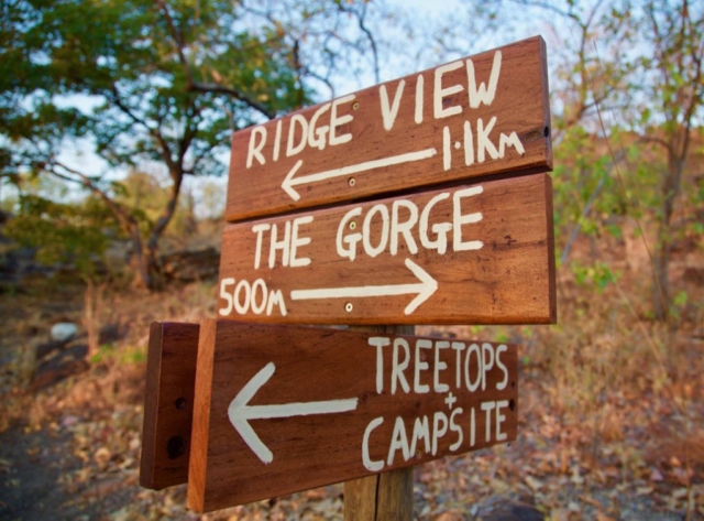 Lotri Bay, Lake Kariba, Zambia - Bush Walk