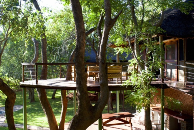 Lotri Bay, Lake Kariba, Zambia - Treetops