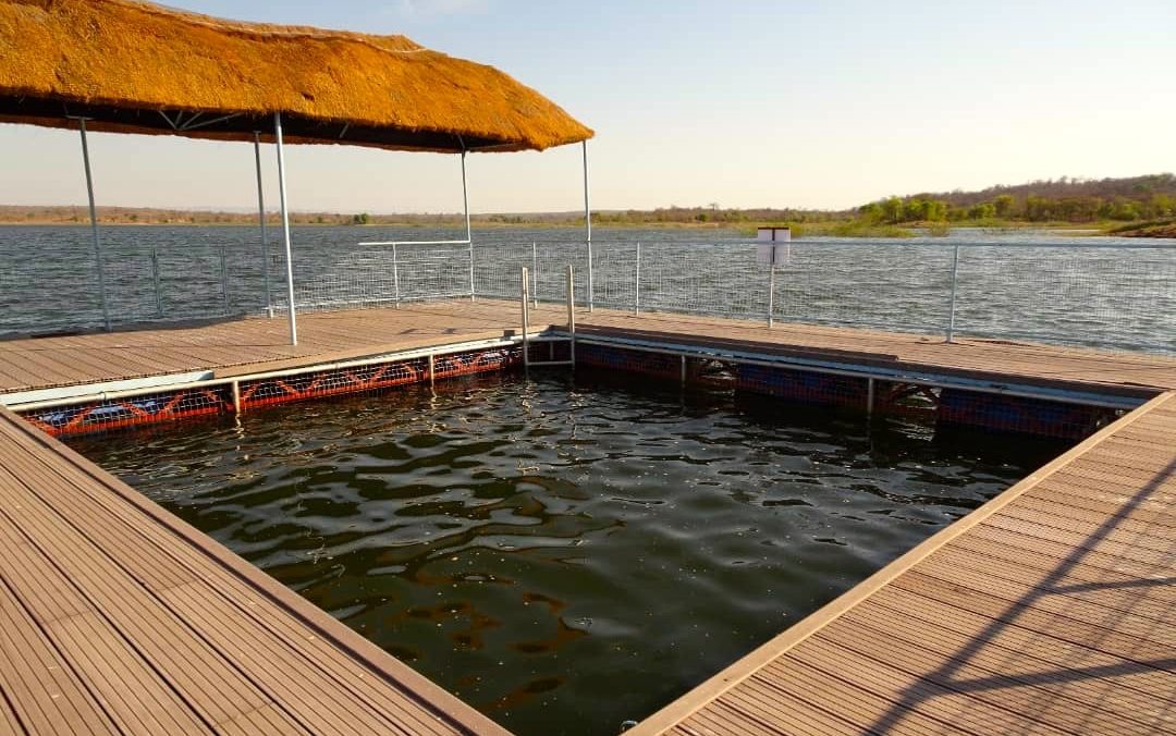 Lotri Bay, Lake Kariba, Zambia - Lake Pool