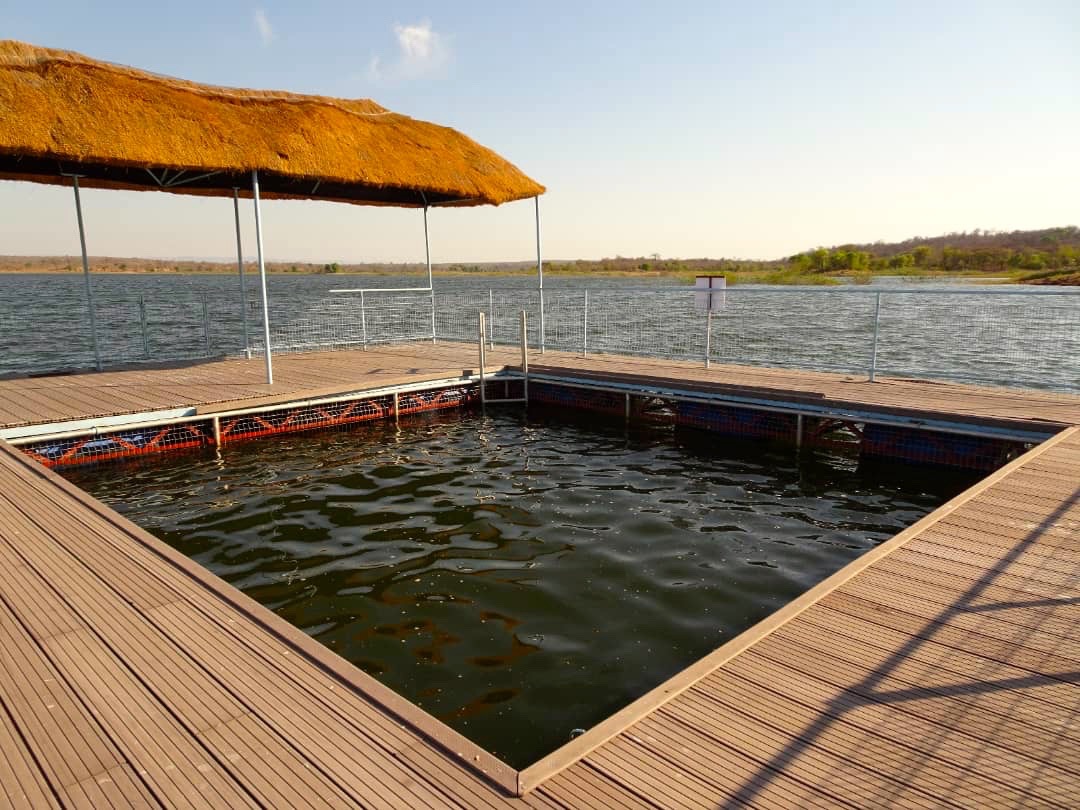Lotri Bay, Lake Kariba, Zambia - Lake Pool